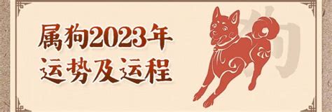 生肖狗運勢|2024年属狗运势及运程详解 2024属狗人全年12个月运。